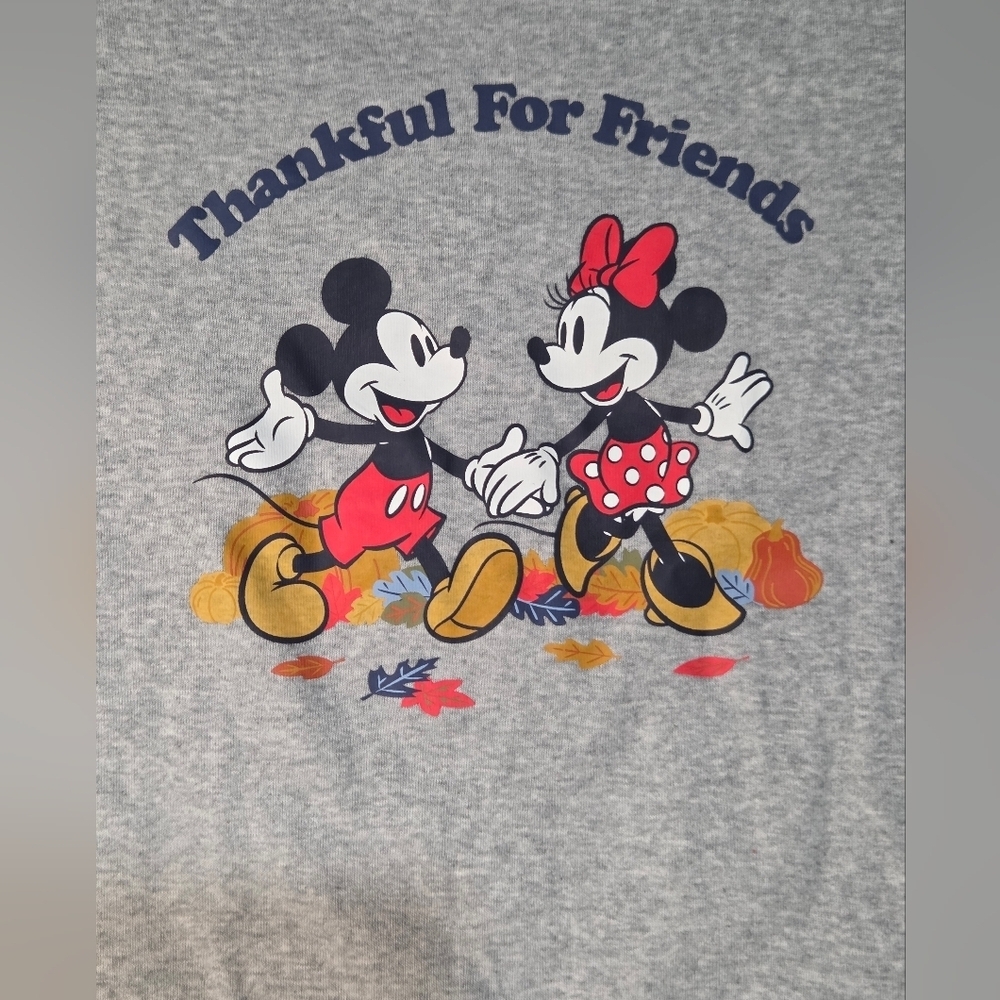 Baby Gap Disney Mickey Minnie NWT Thankful For Friends Sz 6 Yrs Long Sleeve Top - Picture 2 of 6